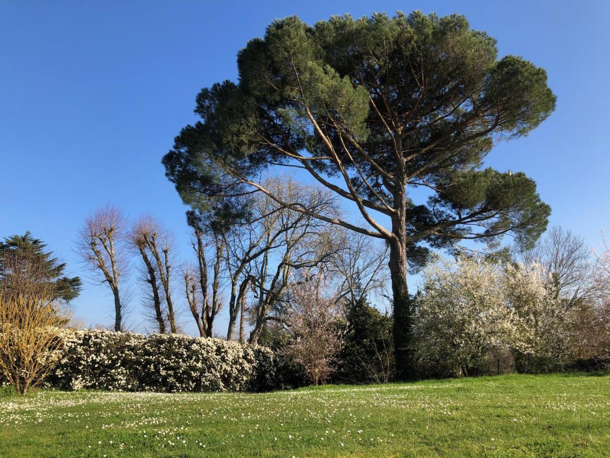 La Suite A Chateau Franc Daut Saint-Magne-de-Castillon Esterno foto