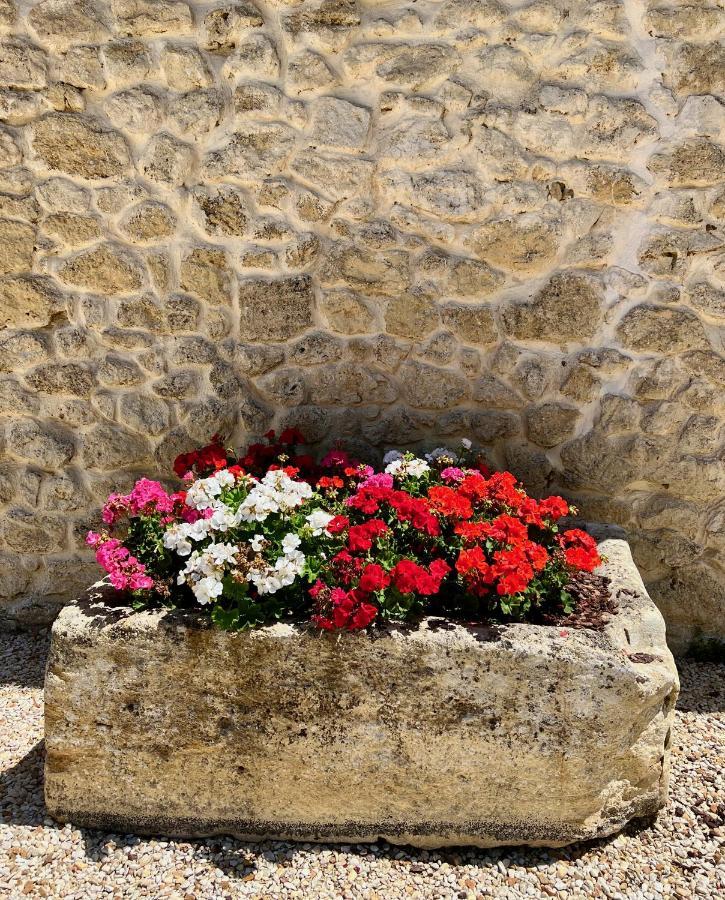 La Suite A Chateau Franc Daut Saint-Magne-de-Castillon Esterno foto
