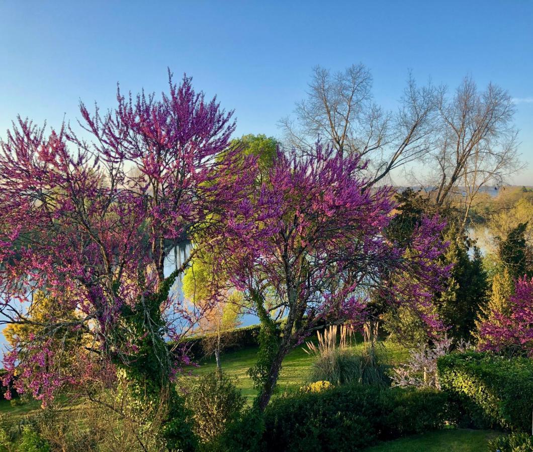 La Suite A Chateau Franc Daut Saint-Magne-de-Castillon Esterno foto